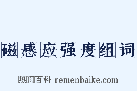 磁感应强度组词是什么意思的图片